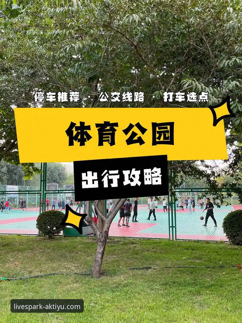 ak体育用户评价功能详解 AK体育平台用户评价功能完整使用指南——从操作到实战的详细攻略